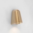 Coastal Brass thumbnail